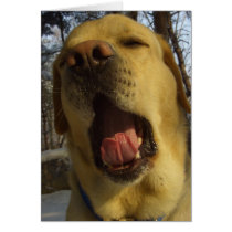 Yawn cards