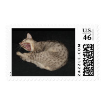 Yawn stamp.
