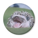 yawner magnets