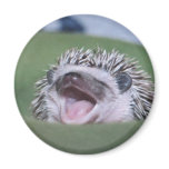 yawner magnets