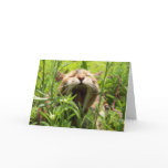 Yawning Cat -Greeting / note card