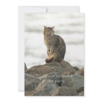 Yawning Cat on the Rocks Invitation