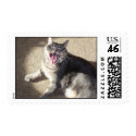 Yawning Cat postage