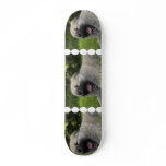 Yawning Chow Chow Skateboard