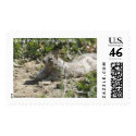 Yawning Squirrel Stamp by delladolittle Yawning Squirrel Stamp