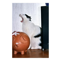 Yawninig Cat posters