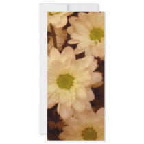 Ye olde time flowers rack cards