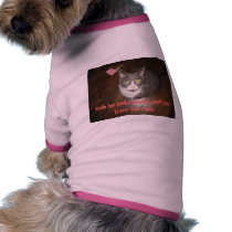 Yeah he looks sweet-until you leave the room pet clothing