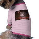 Yeah he looks sweet-until you leave the room pet clothes