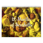 Year Long Seashell Photography Calendar