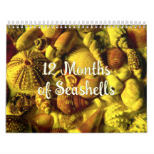Year Long Seashell Photography Calendar