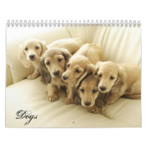 Year of Dogs calendars by zeyn14 Year of Dogs calendars