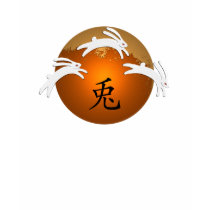 Year of Rabbit Shirt