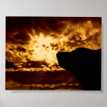 Year of the Dog posters