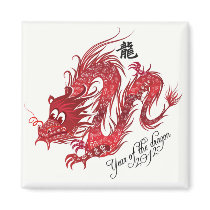 year of the dragon 2012 magnets