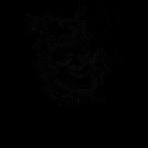 Year Of The Dragon t-shirts