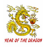 chinese new year, year of the dragon, dragon,