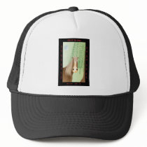 Year of the Horse hats