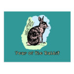 Year of the Rabbit Pastel Tshirt, Mug, Card, Gift Postcards