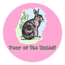 Year of the Rabbit Pastel Tshirt, Mug, Card, Gift Sticker