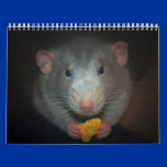 Year of the Rat Calander calendars