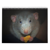 Year of the Rat Calander Calendar