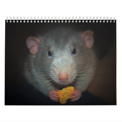 Year of the Rat Calander Calendar by zack12349