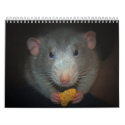 Year of the Rat Calander calendars