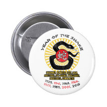 Year of the Snake 2013 Qualities Pinback Button