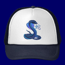 Year Of The Snake Hat hats