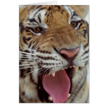 Year of the Tiger Greeting Card
