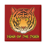 Year of the Tiger Portrait magnets