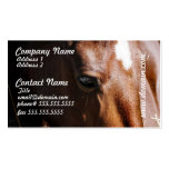 Yearling Business Cards