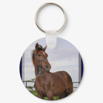 Yearling Colt Keychains