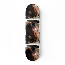 Yearling Skateboard