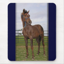 Yearling Sporthorse Mousepads