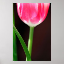 Yearning Print