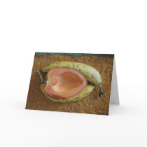 Yecapixtla Day of the Dead Fiesta Altar Piece cards