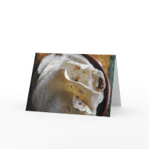 Yecapixtla Day of the Dead Fiesta Altar Piece cards
