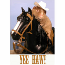 Yee Haw Photo Sculpture