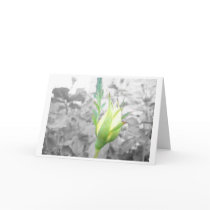 yelllow bud card