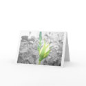 yelllow bud card