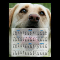 Yelllow Labrador Retriever 2012 calendar poster posters
