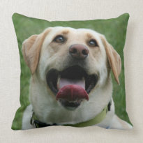 Yelllow Labrador Retriever Pillows