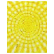 yello004 flyers