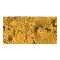 yello073 photo greeting card