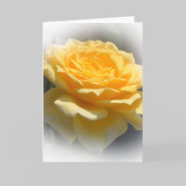 Yello rose greeting card cards