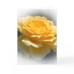 Yello rose greeting card
