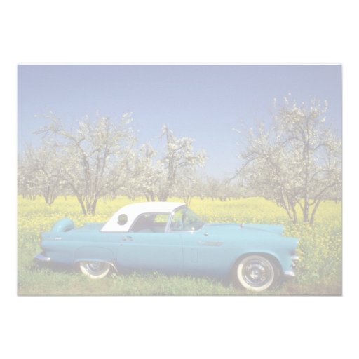 yellow 57 T-Bird flowers Announcements