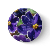 Yellow African Violet flowers Pins